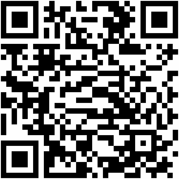 QR-Code: http://365-orte.land-der-ideen.de/netzwerke/agyle/young-leaders-2024/aadam-longi