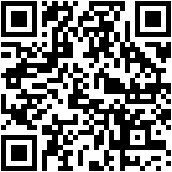 QR-Code: http://365-orte.land-der-ideen.de/projekt/partners-in-leadership-2065