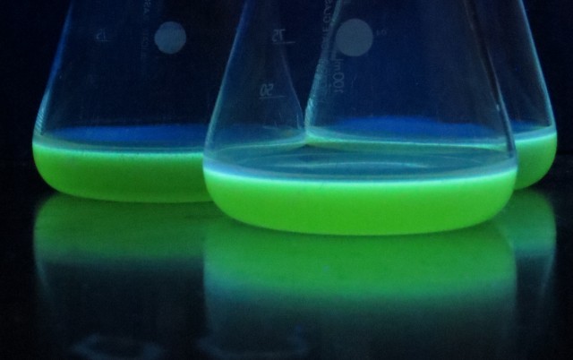 Fluoreszenzeigenschaften des neuen Bausteins in Wasser